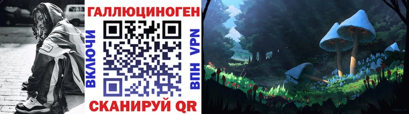 Псилоцибиновые грибы GOLDEN TEACHER  продажа наркотиков  Руза 